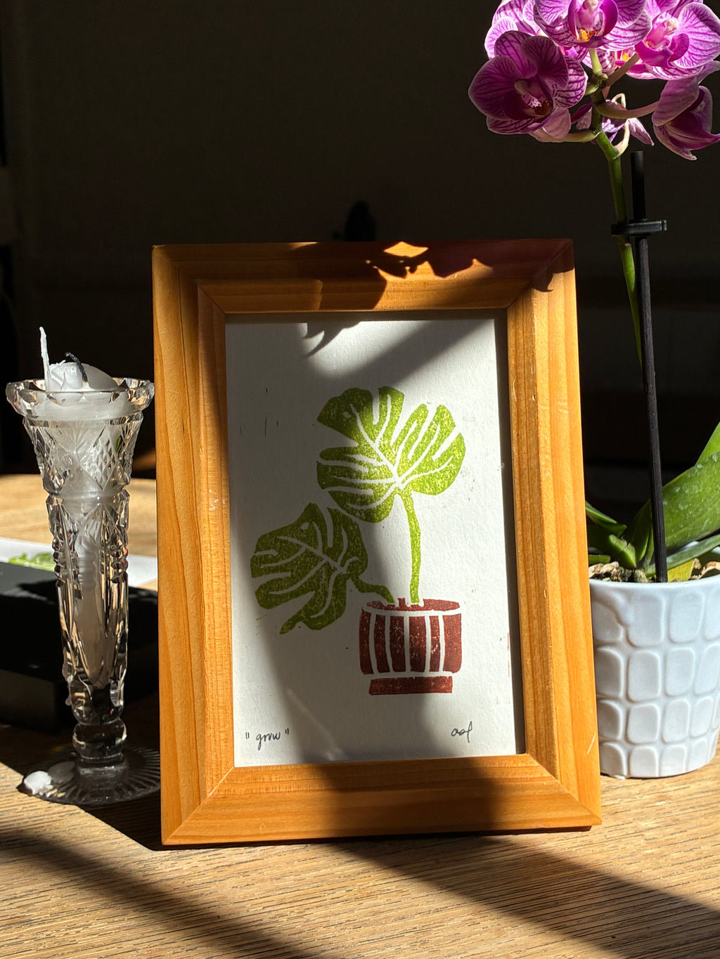monstera house plant print