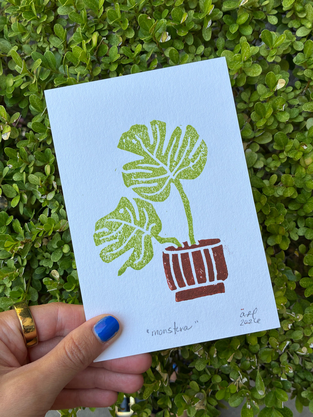 monstera house plant print